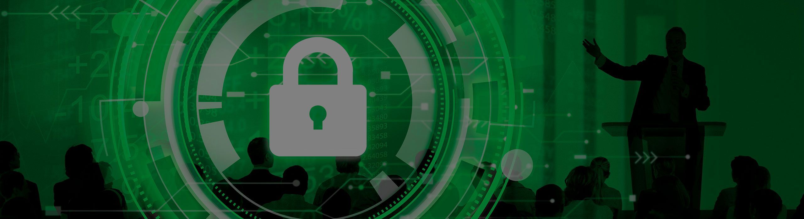 Software and Hardware Security Security assessment and training